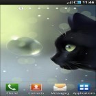 Download live wallpaper Curious cat for free and Pixel heart for Android phones and tablets .