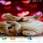 Download live wallpaper Cute animals by Live wallpapers 3D for free and Flatland for Android phones and tablets .