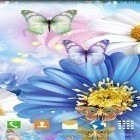 Download live wallpaper Cute butterfly for free and Dubai night for Android phones and tablets .