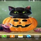 Besides Cute Halloween live wallpapers for Android, download other free live wallpapers for Micromax Q415.