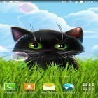 Download live wallpaper Cute kitten for free and Butterfly 3D for Android phones and tablets .