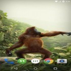Download live wallpaper Dancing monkey for free and Light and shadow for Android phones and tablets .