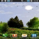 Download live wallpaper Day and night for free and Sea world by orchid for Android phones and tablets .