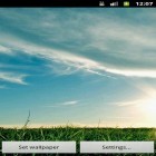 Download live wallpaper DayNight for free and Perfect sunset for Android phones and tablets .