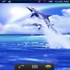 Download live wallpaper Dolphin blue for free and Neon flowers by Phoenix Live Wallpapers for Android phones and tablets .