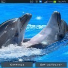 Download live wallpaper Dolphins for free and Waterize for Android phones and tablets .
