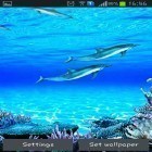 Dolphins sounds apk - download free live wallpapers for Android phones and tablets.