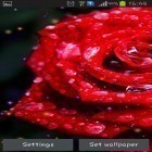Download live wallpaper Drops and roses for free and Ocean by Creative Factory Wallpapers for Android phones and tablets .