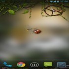 Download live wallpaper Dryad for free and Christmas night by Jango lwp studio for Android phones and tablets .
