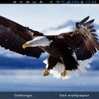 Download live wallpaper Eagle for free and Gift for Android phones and tablets .