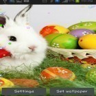 Download live wallpaper Easter bunnies 2015 for free and Blue skies for Android phones and tablets .