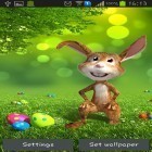 Download live wallpaper Easter bunny for free and Flowers by Memory lane for Android phones and tablets .