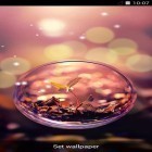 Besides Eye of life live wallpapers for Android, download other free live wallpapers for Asus ZenPad 7.0 Z170C.