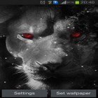 Download live wallpaper Eyes lion for free and Halloween by live wallpaper HongKong for Android phones and tablets .