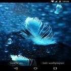Download live wallpaper Feather: Bubble for free and Christmas Santa HD for Android phones and tablets .