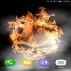 Download live wallpaper Fire for free and Forest by Pro live wallpapers for Android phones and tablets .