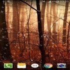 Download live wallpaper Fireflies droplets HD for free and Multicolor clock for Android phones and tablets .