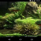 Download live wallpaper Fish aquarium 3D for free and Love by Bling Bling Apps for Android phones and tablets .