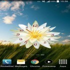 Download live wallpaper Flower clock for free and Neon microcosm for Android phones and tablets .