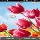 Download live wallpaper Flowers 2015 for free and Snow HD for Android phones and tablets .