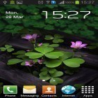 Download live wallpaper Flowers 3D for free and Snow winter for Android phones and tablets .