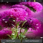 Download live wallpaper Flowers by Stechsolutions for free and Shake It Up: Seasons 3D for Android phones and tablets .