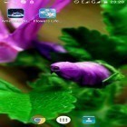 Download live wallpaper Flowers life for free and The avengers for Android phones and tablets .