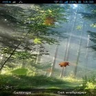 Download live wallpaper Forest by Pro live wallpapers for free and Digital Pixel for Android phones and tablets .