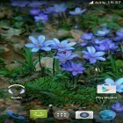 Besides Forest flowers live wallpapers for Android, download other free live wallpapers for LG Optimus Hub E510.