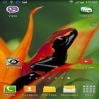 Download live wallpaper Frogs: shake and change for free and Car technology 3D for Android phones and tablets .
