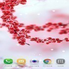 Download live wallpaper Frozen beauty: Winter tale for free and Mystic night for Android phones and tablets .