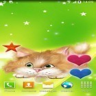 Download live wallpaper Funny cat for free and Scottish fold cat for Android phones and tablets .