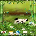 Download live wallpaper Funny panda for free and Quantum cloud for Android phones and tablets .