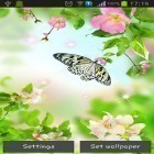 Download live wallpaper Gentle flowers for free and Phoenix by Niceforapps for Android phones and tablets .