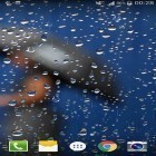 Download live wallpaper Glass droplets for free and Car and model for Android phones and tablets .