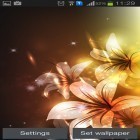 Download live wallpaper Glowing flowers by Creative factory wallpapers for free and Stripe ICS pro for Android phones and tablets .