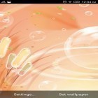 Download live wallpaper Glowing water for free and Cute owls for Android phones and tablets .