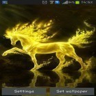 Download live wallpaper Golden horse for free and Allah: Water ripple for Android phones and tablets .