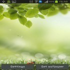 Download live wallpaper Green spring for free and Steampunk Clock for Android phones and tablets .