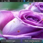 Download live wallpaper Greetings: March 8 for free and Tech neon glass ball for Android phones and tablets .