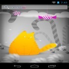 Download live wallpaper Hamlet the cat for free and Frozen flowers for Android phones and tablets .