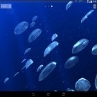 Download live wallpaper Jellyfishes 3D for free and Wall clock for Android phones and tablets .