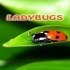 Download live wallpaper Ladybugs for free and Weather for Android phones and tablets .