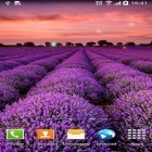 Download live wallpaper Landscape for free and Deep space 3D for Android phones and tablets .