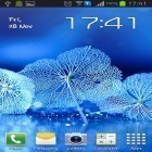 Download live wallpaper Leaf for free and The Moon paradise for Android phones and tablets .