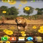 Download live wallpaper Lion by Live Wallpapers Free for free and Snow winter for Android phones and tablets .