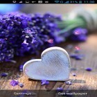 Download live wallpaper Love and flowers for free and Strawberry for Android phones and tablets .