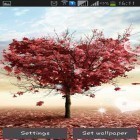 Download live wallpaper Love tree by Pro live wallpapers for free and Glitter by Latest Live Wallpapers for Android phones and tablets .