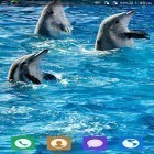 Download live wallpaper Lovely dolphin for free and Neon microcosm for Android phones and tablets .