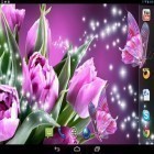 Besides Magic butterflies live wallpapers for Android, download other free live wallpapers for Samsung Galaxy Note.